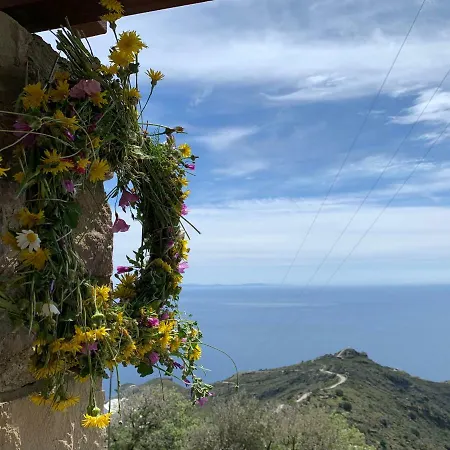 Apartment Sunrise Dream *