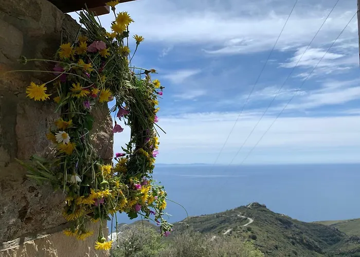 Апартаменты Sunrise Dream *