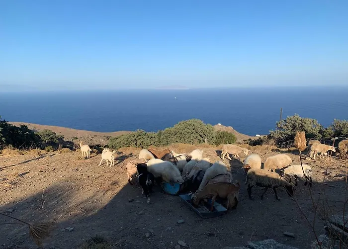 Lejlighed Sunrise Dream *